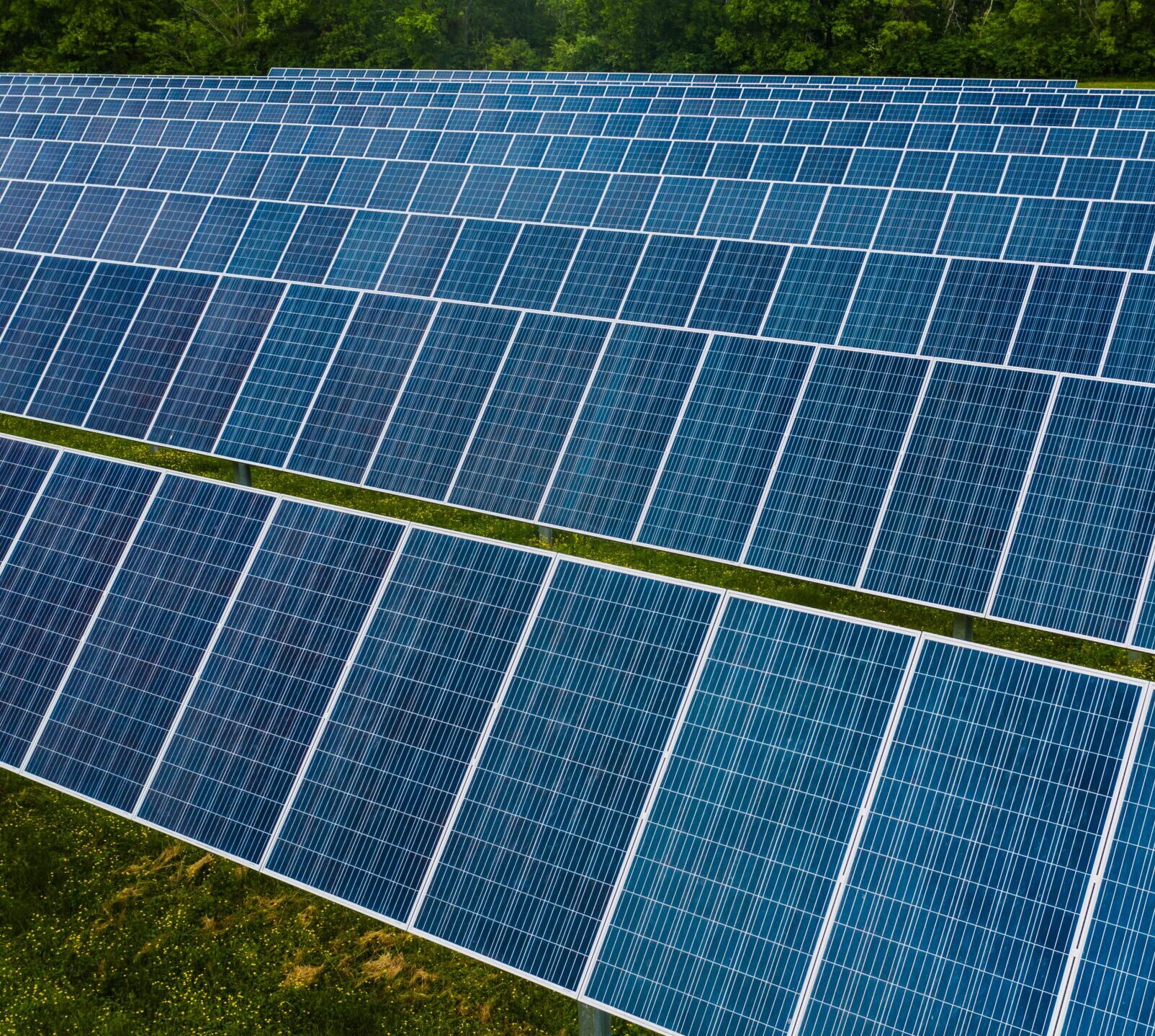 pexels kelly 4320449