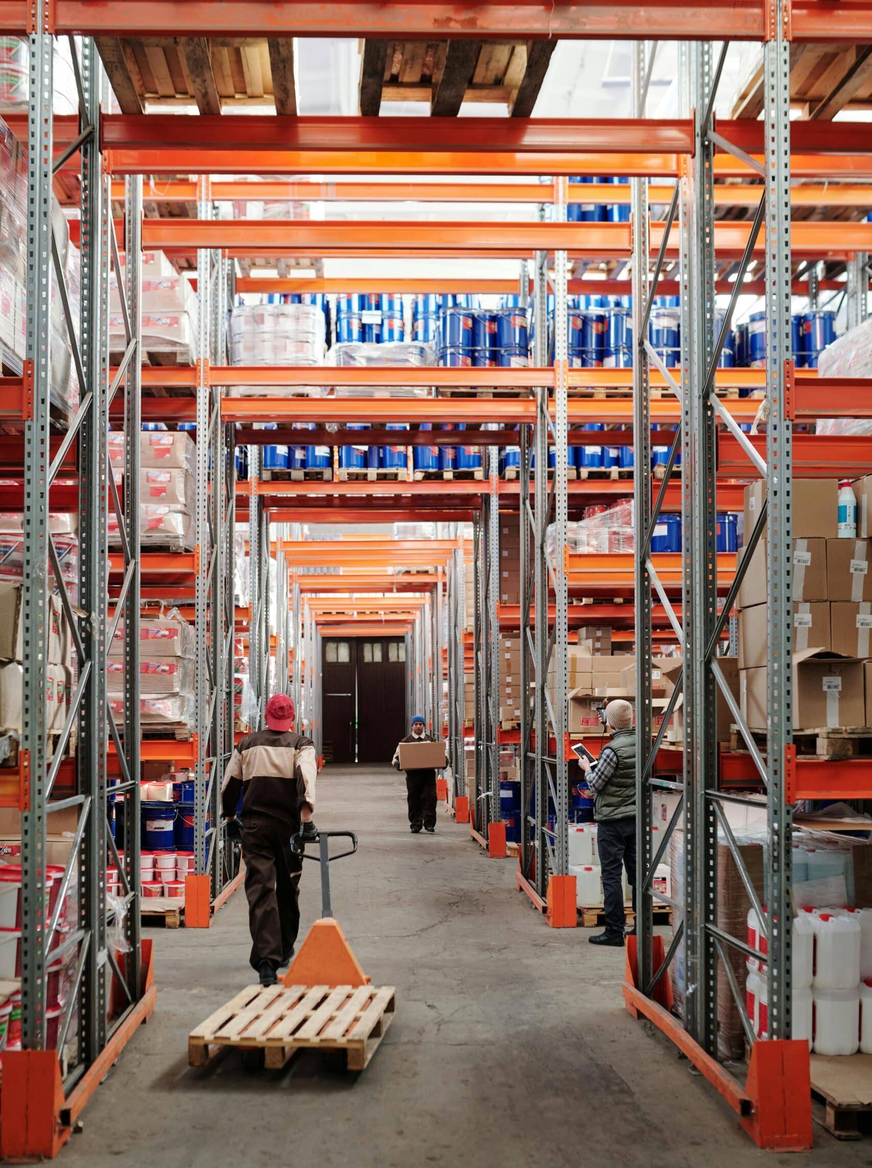 pexels tiger lily 4483772